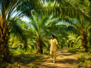 Cabaran Sehari Jejak Agro - Panorama 1