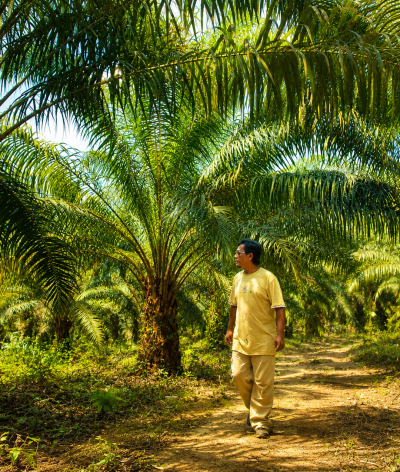 Cabaran Sehari Jejak Agro - Panorama 1