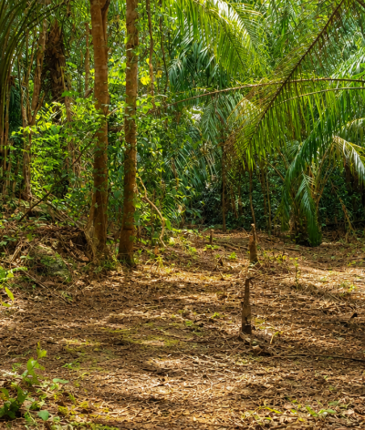 Cabaran Sehari Jejak Agro – Panorama 5