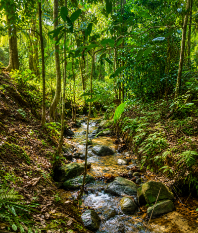 Cabaran Sehari Jejak Agro - Panorama 3